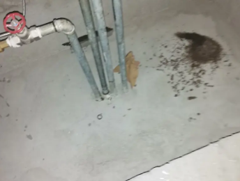 济源卫生间测漏水价格明细